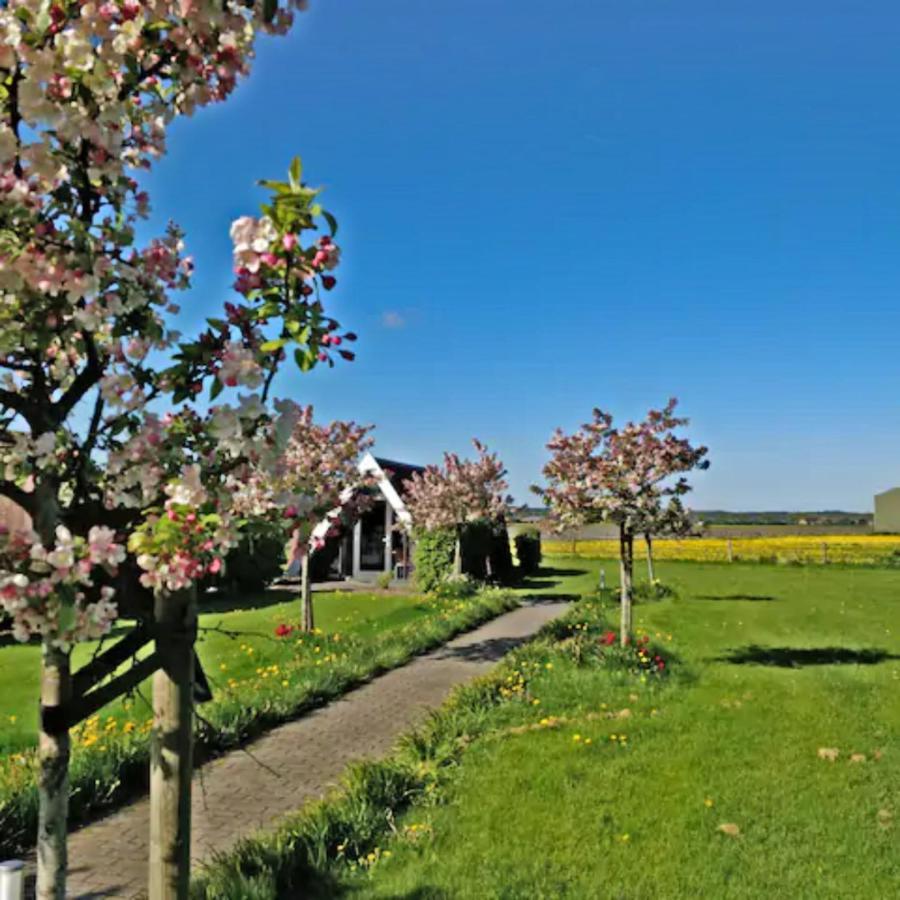 Hotelhuisje Warmenhuizen #D Экстерьер фото